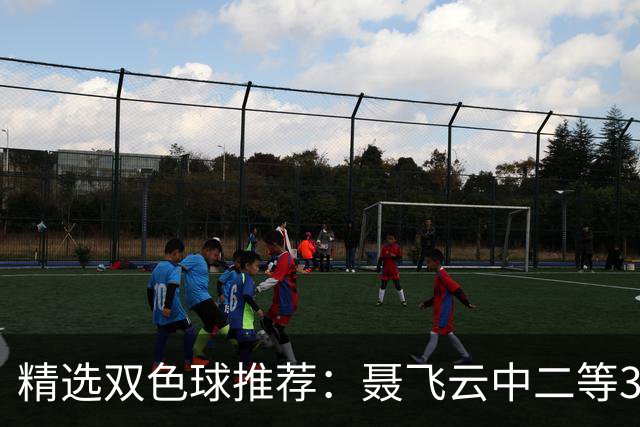 精选双色球推荐：聂飞云中二等386万 10人中5+1